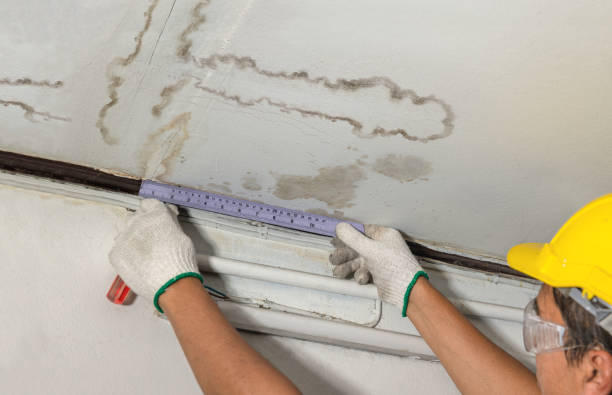 Reliable Water Damage contractor in Wrightsville, GA by Water Damage Irwin